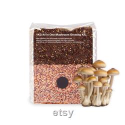 1KG All In One Mushroom Growing Kit Rye Grain, Coco Coir, Vermiculite and Gypsum