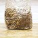 1kg Of Morel Sawdust Spawn (morchella Angusticeps) Fire Pit Strain