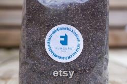 1kg of Pasteurized Mushroom Growing Casing Layer jiffy mix 50 50 tek