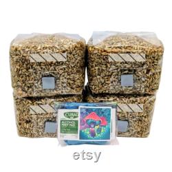 1lb Grow Mushrooms Grain Spawn bags Rye Berries with Injection Ports 4pk