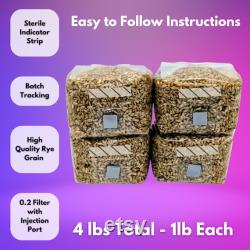 1lb Grow Mushrooms Grain Spawn bags Rye Berries with Injection Ports 4pk