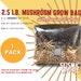 1x 2.5 Lb. Mushroom Grow Bag, All-in-one (aio) With 1 Lb. Organic Rye Berries And 1.5 Lbs. Cvg, Manure, Straw Blend Great For Dung Lovers