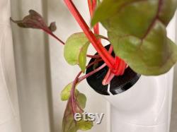 20 30 Piece Reusable Algae Control Covers Flexible Cover Hydroponic Gardening