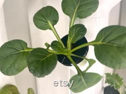 20 30 Piece Reusable Algae Control Covers Flexible Cover Hydroponic Gardening