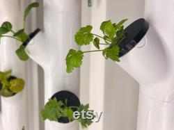 20 30 Piece Reusable Algae Control Covers Flexible Cover Hydroponic Gardening