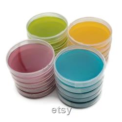 20 Malt Agar Petri Dishes, Assorted Color Sterilized Agar Plates, Individually Packaged 20 Precut Parafilm for Wrapping