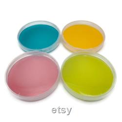 20 Malt Agar Petri Dishes, Assorted Color Sterilized Agar Plates, Individually Packaged 20 Precut Parafilm for Wrapping