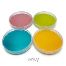 20 Malt Agar Petri Dishes, Assorted Color Sterilized Agar Plates, Individually Packaged 20 Precut Parafilm for Wrapping