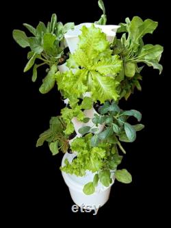 20-Planter Vertical Hydroponic and Aeroponic Tower System with Seeds and Coco Disc Perfect for Home Farming and gardening