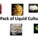 20 Liquid Cultures