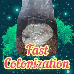20 x All in One Mushroom Grow Bag, Manure Lovers, Sterilized Grain with Coco Coir Compost Substrate, (spores not included))
