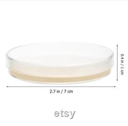 20x Pack Pre-Poured Sterilized Mushroom Nutrient Agar Petri Dishes