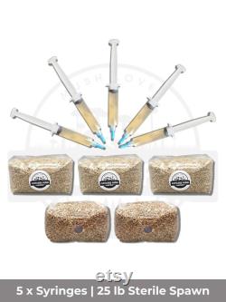 25 LB Spawn and Liquid Culture Bundle Sterile Injection Port Choose Rye, Oat, Millet