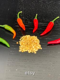 25 Siling Labuyo Seeds Wild Chili (please read description)