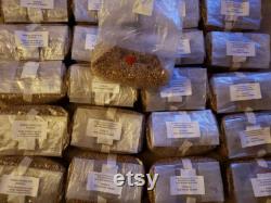 25 x 4lb. Rye Spawn Bags Sterilized, Hydrated and Ready-To-Use