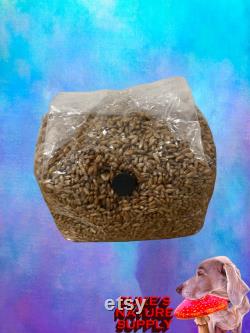 28 3lb Sterilized Rye Grain Spawn Bag with Injection Port and Synthetic Filter