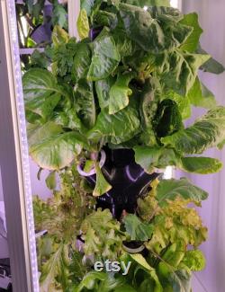 28 Plant Hydroponic Tower Outdoor and Indoor 5FT