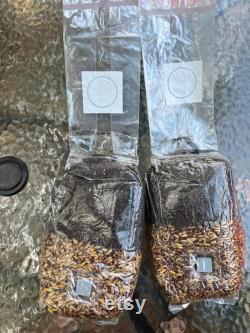 2-Pack All In One Grow Bags with Coco Coir for Manure Loving Mushrooms