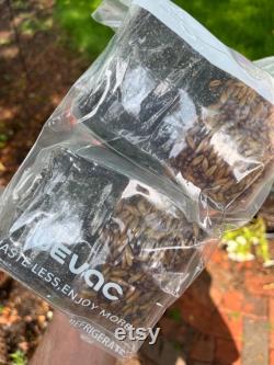 2-Pack All In One Grow Bags with Coco Coir for Manure Loving Mushrooms