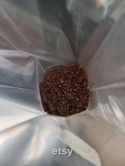 2kg Mushroom Bulk Substrate Coco Coir Vermiculite ( gypsum) in Grow Bag sterilised with filter mushroom cultivation