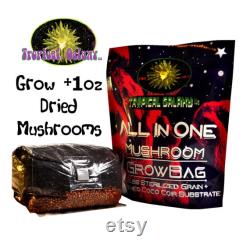 2lb All-in-One Mushroom Grow Bag,(everything but the spores)