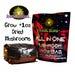 2lb All-in-one Mushroom Grow Bag,(everything But The Spores)