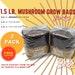 2x All In One Mushroom Grow Bags, Fun Size 1.5 Lbs., Sterilized Rye Grain Cvg Substrate Mushroom Cultivation Bags