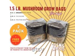 2x All In One Mushroom Grow Bags, Fun Size 1.5 lbs., Sterilized Rye Grain CVG Substrate Mushroom Cultivation Bags