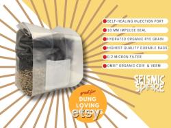 2x All In One Mushroom Grow Bags, Fun Size 1.5 lbs., Sterilized Rye Grain CVG Substrate Mushroom Cultivation Bags