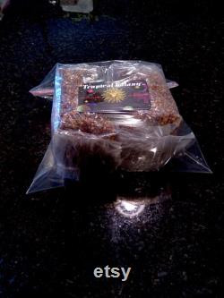 2x Bags Sterilized Mushroom Grain Spawn