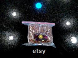 2x Bags Sterilized Mushroom Grain Spawn