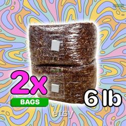 2x Grain Spawn Bags Fast Shipping Milo Sorghum Millet Grain Bags