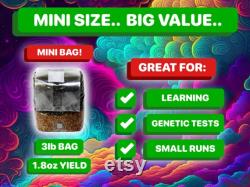 2x MINI MAGIC Mushroom Grow Bag 3lb (6lb TOTAL)