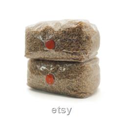 2x Sterilized Rye Grain Bags, 2 lbs. Each, 4 lbs. Total, Organic Rye Berry Mushroom Grain Substrate, RTV SHIP