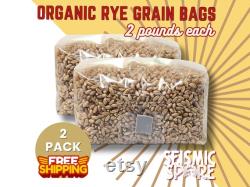 2x Sterilized Rye Grain Bags, 2 lbs. Each, 4 lbs. Total, Organic Rye Berry Mushroom Grain Substrate, RTV SHIP