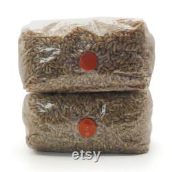 2x Sterilized Rye Grain Bags, 2 lbs. Each, 4 lbs. Total, Organic Rye Berry Mushroom Grain Substrate, RTV SHIP