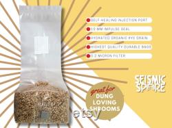 2x Sterilized Rye Grain Bags, 2 lbs. Each, 4 lbs. Total, Organic Rye Berry Mushroom Grain Substrate, RTV SHIP