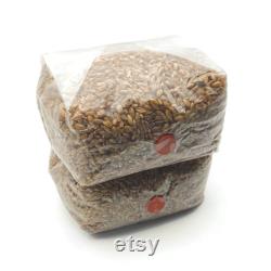 2x Sterilized Rye Grain Bags, 2 lbs. Each, 4 lbs. Total, Organic Rye Berry Mushroom Grain Substrate, RTV SHIP