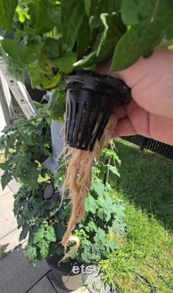 32 Plant Hydroponic Tower Outdoor and Indoor 5.5FT Black