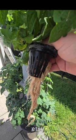32 Plant Hydroponic Tower Self-Watering Hydroponic Tower System Kit Outdoor and Indoor