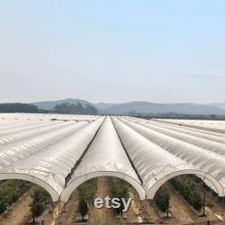 32 ft Wide and 50 ft Long Plastic Grow Film Clear 6 Mil 4 Year UV Resistant Polyethylene Greenhouse Film