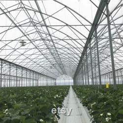 32 ft Wide and 50 ft Long Plastic Grow Film Clear 6 Mil 4 Year UV Resistant Polyethylene Greenhouse Film