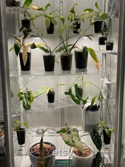 3 Digital Cut Files IKEA MILSBO Greenhouse Cabinet Shelf Templates