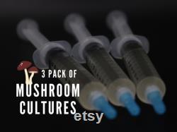 3 Gourmet Mushroom Cultures Choose From 30 Kinds