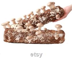 3 x 4lb Shiitake Mushroom Grow Kit from- ecome.farm