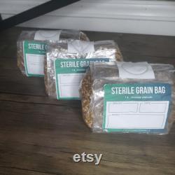 3 x Oat Grain Spawn Bag, 1 lb each, fermented oats make nutrients more bioavailable, sterilized and ready to inoculate. DIY mushroom spawn.