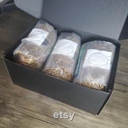 3 x Oat Grain Spawn Bag, 1 lb each, fermented oats make nutrients more bioavailable, sterilized and ready to inoculate. DIY mushroom spawn.