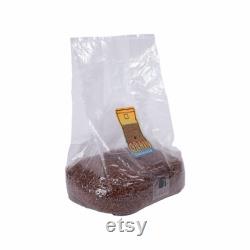3lb 10 PACK Sterilized Milo Grain Mushroom Sterilized Grain Spawn Mushroom Cultivation Spawn Sorghum Grain 15lbs