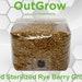 3lb Premium Rye Berry Mushroom Grow Bag With Self-healing Port