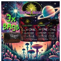 3x Bags All in One Mushroom Grow Bags, (everything but the spores)
